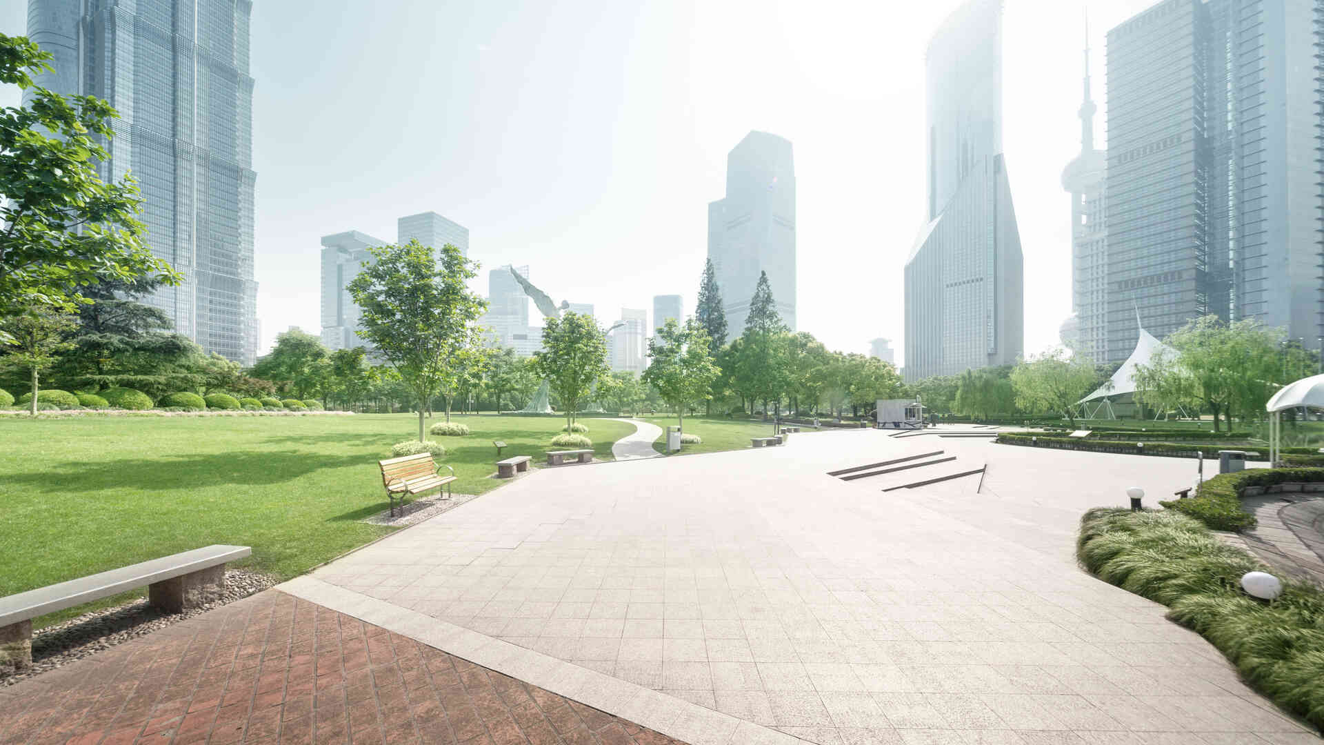 modern city park highrise