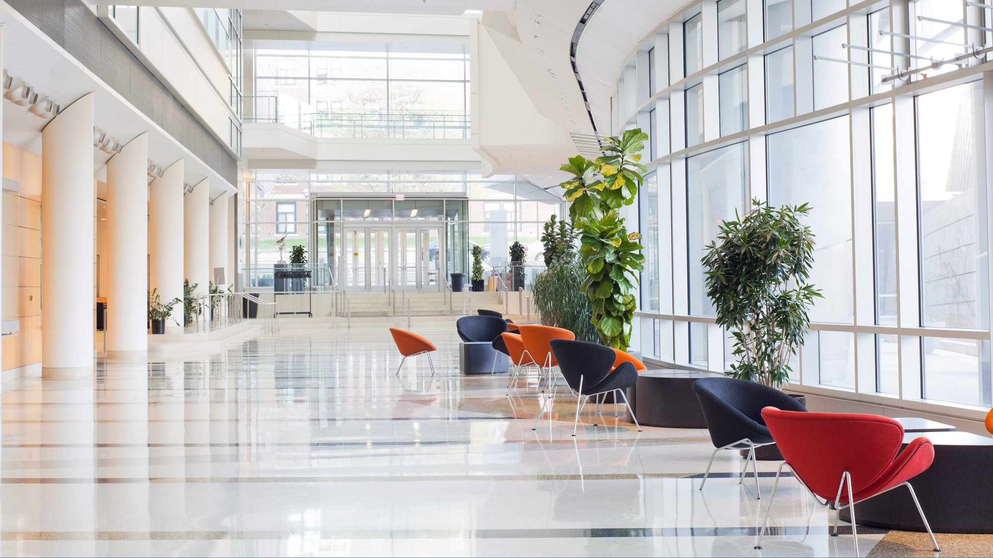 Naviate Architecture  Doors and Windows