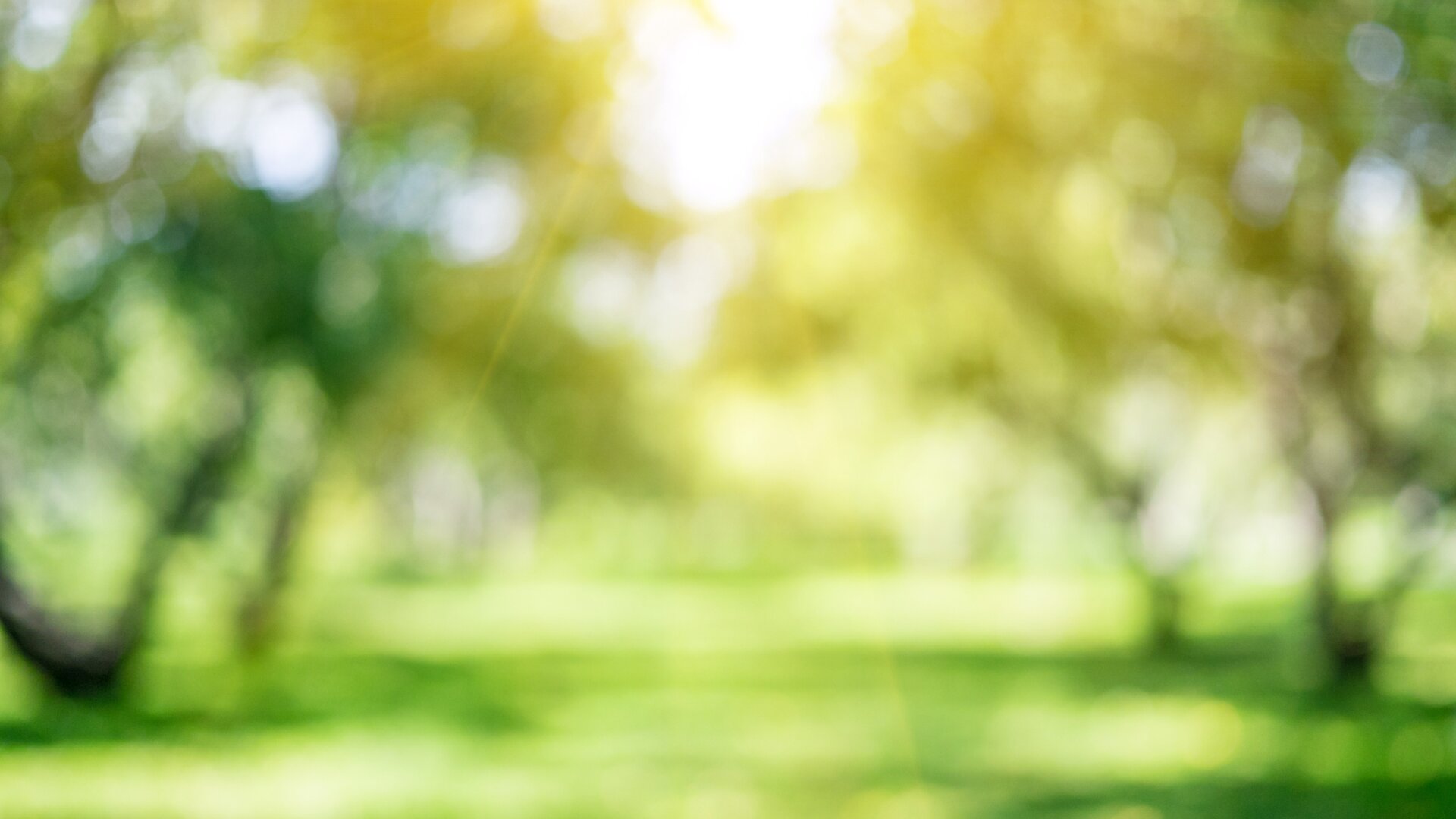 Naviate Environment blurry park view 1920x1080