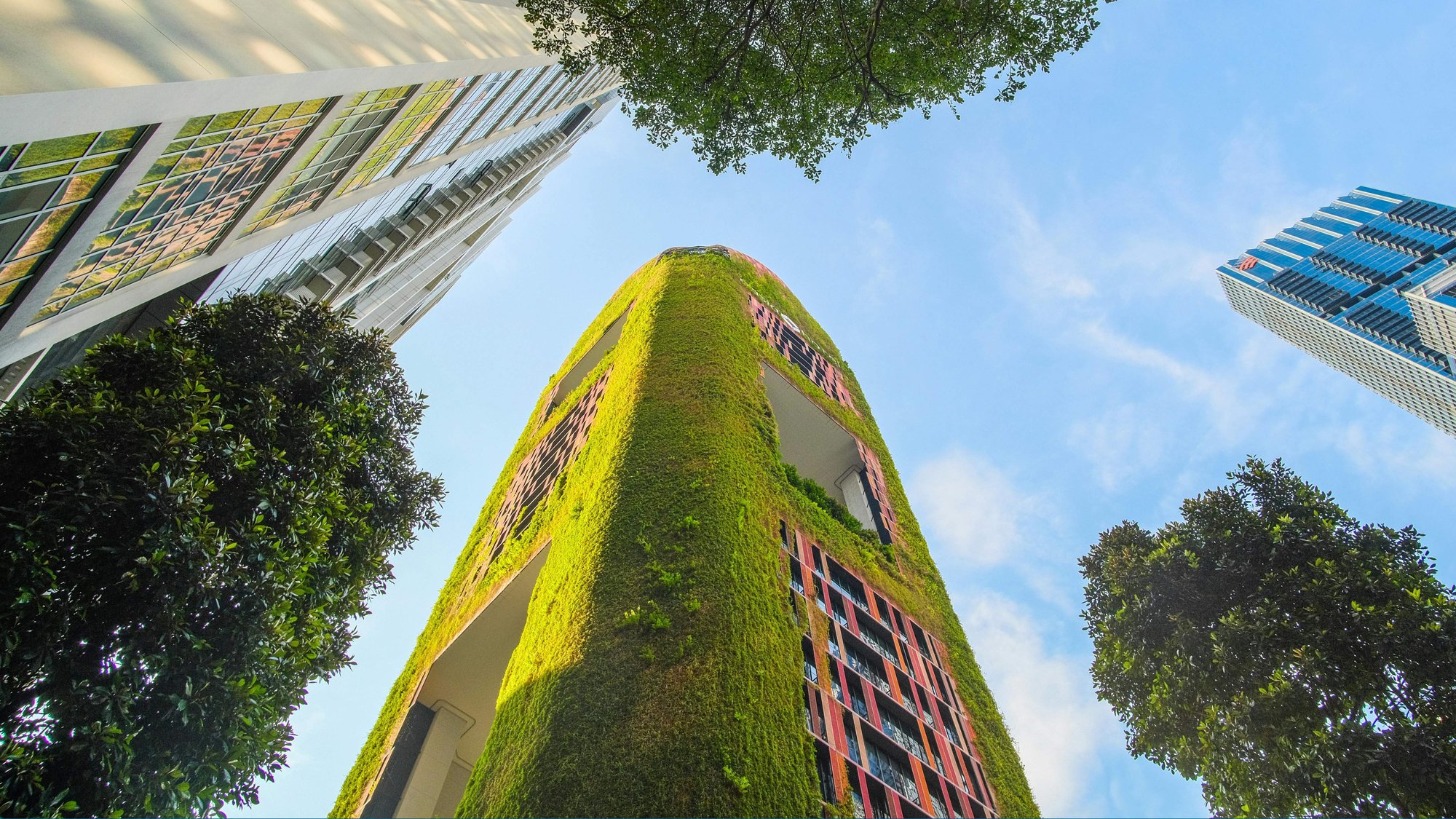 families and elements (1)